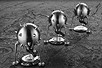CBINDUSTRIES - Carlo Borer -  